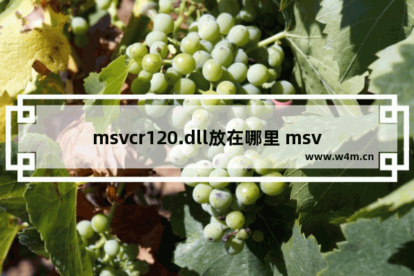 msvcr120.dll放在哪里 msvcr120.dll文件放置位置介绍