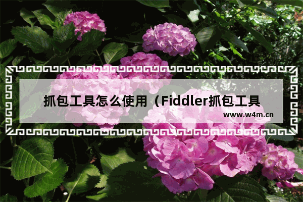 抓包工具怎么使用（Fiddler抓包工具使用图文详解）