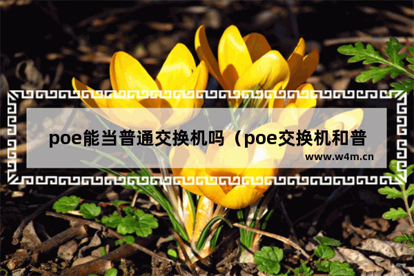 poe能当普通交换机吗（poe交换机和普通交换机区别）