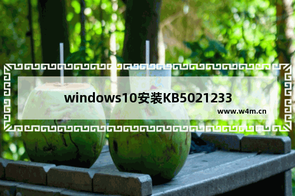 windows10安装KB5021233出现0xc000021a蓝屏怎么办 windows10安装KB5021233出现0xc000021a蓝屏解决办法