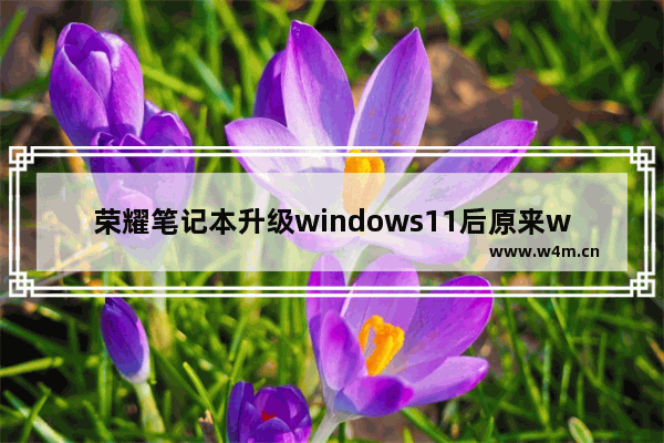 荣耀笔记本升级windows11后原来windows10可以删除吗 荣耀笔记本升级windows11后原来windows10可以删除吗问题解析