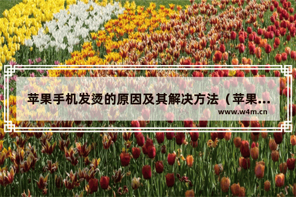 苹果手机发烫的原因及其解决方法（苹果手机容易发烫怎么办）