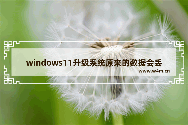 windows11升级系统原来的数据会丢失吗 windows11升级系统原来的数据会丢失吗问题解析