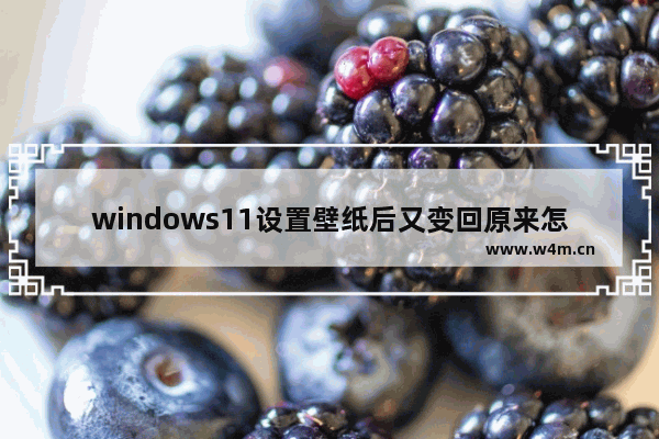 windows11设置壁纸后又变回原来怎么办 windows11设置壁纸后又变回原来解决方法