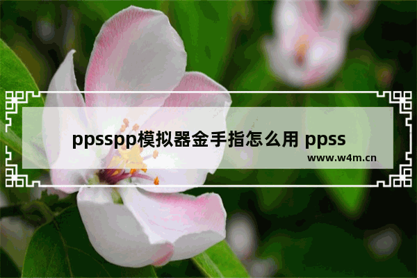 ppsspp模拟器金手指怎么用 ppsspp模拟器启用金手指的方法