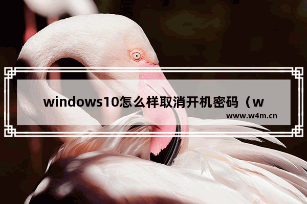 windows10怎么样取消开机密码（windows10开机取消密码登录的方法）