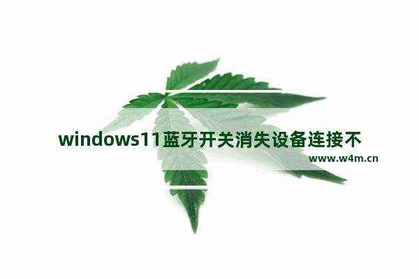 windows11蓝牙开关消失设备连接不上怎么办 windows11蓝牙开关消失设备连接不上解决方法