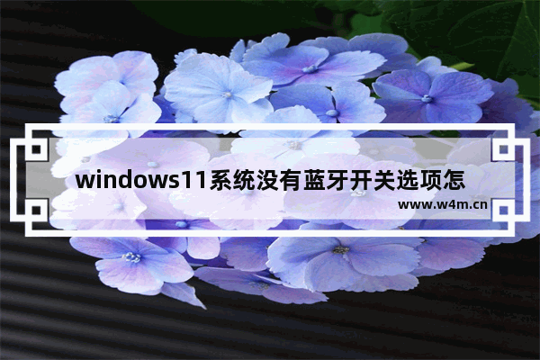 windows11系统没有蓝牙开关选项怎么办 windows11系统没有蓝牙开关选项解决方法