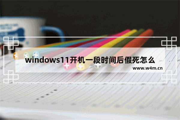 windows11开机一段时间后假死怎么办 windows11开机一段时间后假死解决方法