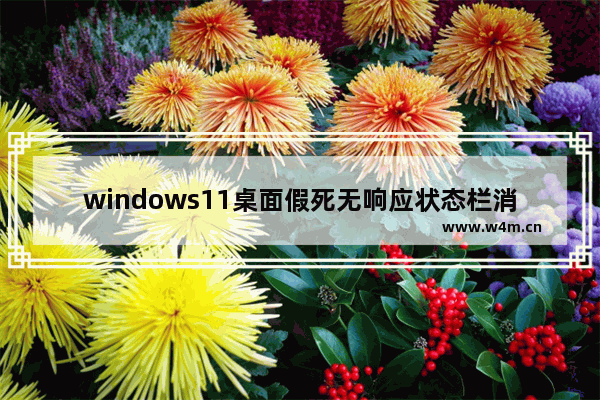 windows11桌面假死无响应状态栏消失怎么办 windows11桌面假死无响应状态栏消失解决方法