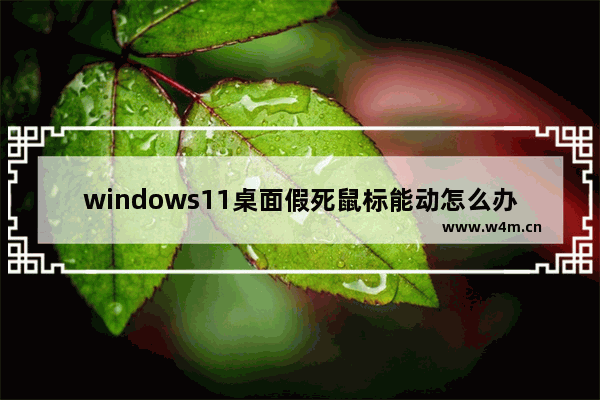 windows11桌面假死鼠标能动怎么办 windows11桌面假死鼠标能动的解决方法