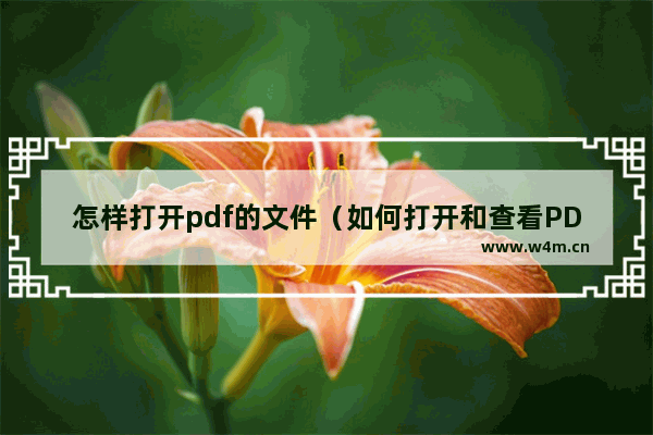 怎样打开pdf的文件（如何打开和查看PDF文件）