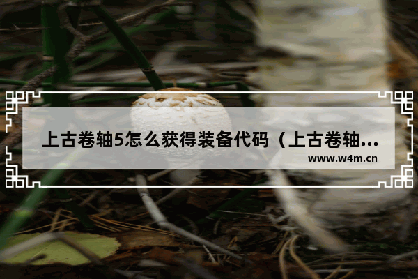 上古卷轴5怎么获得装备代码（上古卷轴5控制台指令大全）