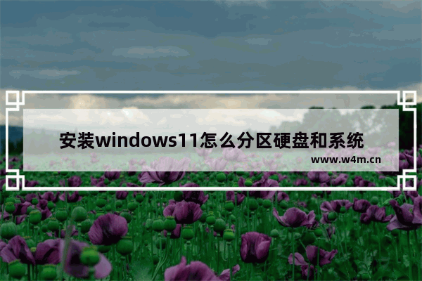 安装windows11怎么分区硬盘和系统盘的区别 安装windows11分区硬盘和系统盘的区别