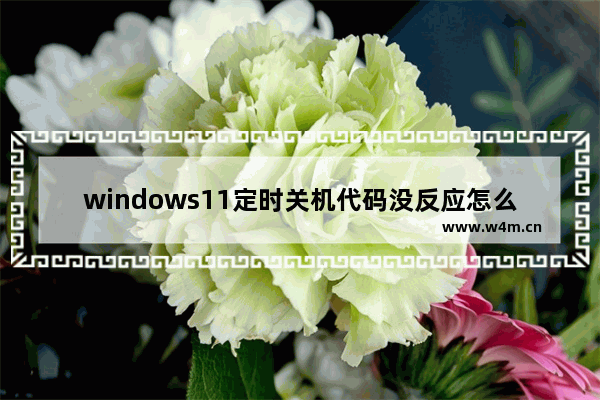 windows11定时关机代码没反应怎么办 windows11定时关机代码解决方法