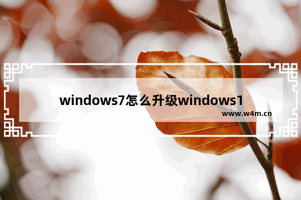 windows7怎么升级windows11系统版本 windows7如何升级windows11系统版本