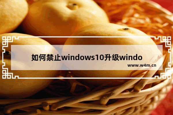 如何禁止windows10升级windows11 如何禁止windows10升级windows11方法