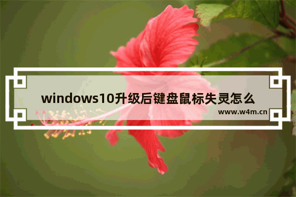 windows10升级后键盘鼠标失灵怎么办 windows10升级后键盘鼠标失灵解决方法