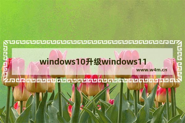 windows10升级windows11不满足条件怎么办 windows10升级windows11不满足条件解决方法