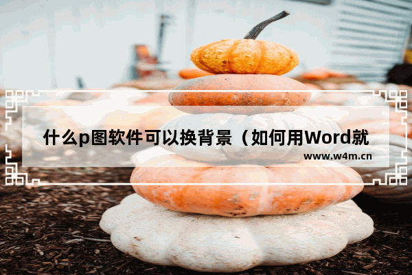 什么p图软件可以换背景（如何用Word就能随意更换照片背景）