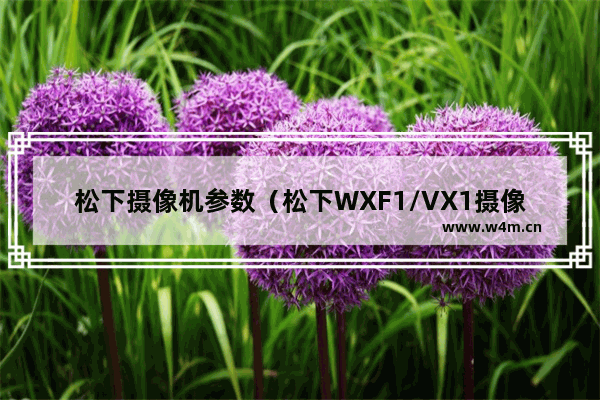 松下摄像机参数（松下WXF1/VX1摄像机评测）