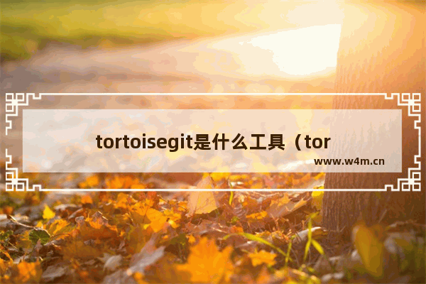 tortoisegit是什么工具（tortoiseGit实用教程）