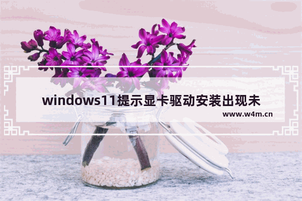 windows11提示显卡驱动安装出现未知错误怎么办 windows11提示显卡驱动安装出现未知错误解决办法