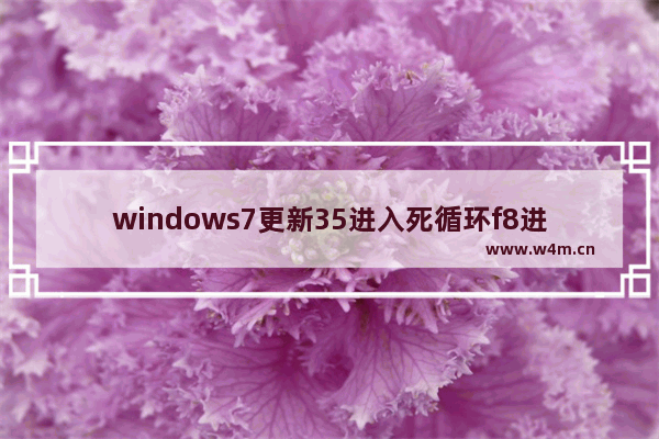 windows7更新35进入死循环f8进不了怎么办 windows7更新35进入死循环f8进不了解决方法