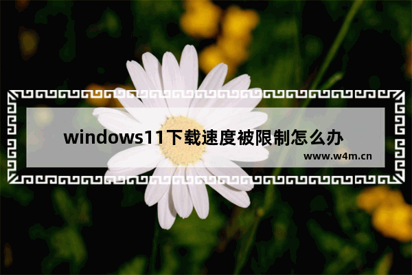 windows11下载速度被限制怎么办 windows11下载速度被限制解决方法