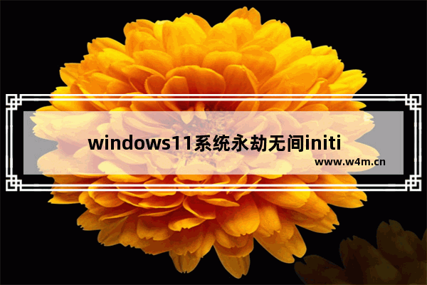 windows11系统永劫无间initialization error 4错误怎么解决 windows11系统永劫无间initialization error 4错误解决方法