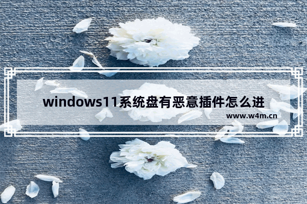 windows11系统盘有恶意插件怎么进行彻底清理 windows11系统盘有恶意插件进行彻底清理教程