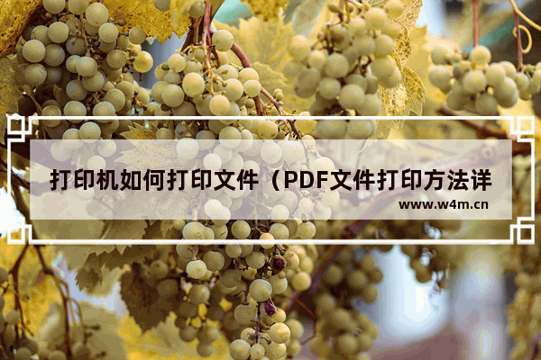 打印机如何打印文件（PDF文件打印方法详解）