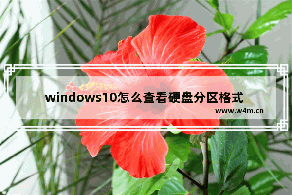 windows10怎么查看硬盘分区格式 windows10如何查看硬盘分区格式