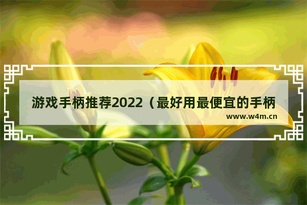 游戏手柄推荐2022（最好用最便宜的手柄推荐几款）