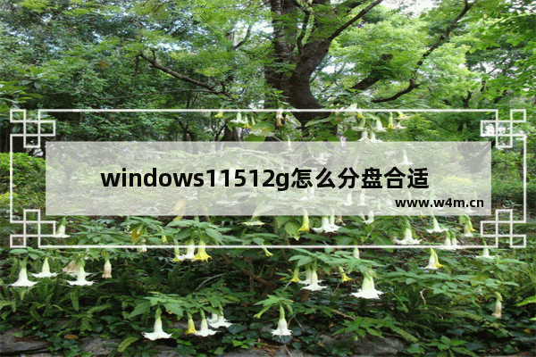 windows11512g怎么分盘合适 windows11512g固态硬盘最佳分区方案