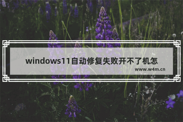 windows11自动修复失败开不了机怎么办 windows11自动修复失败开不了机问题解析