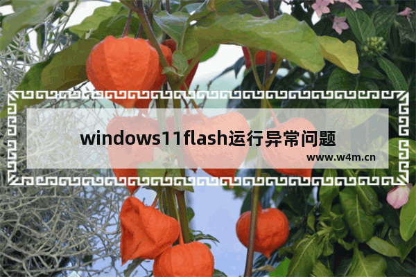 windows11flash运行异常问题修复失败怎么办 windows11flash运行异常问题修复失败问题解析