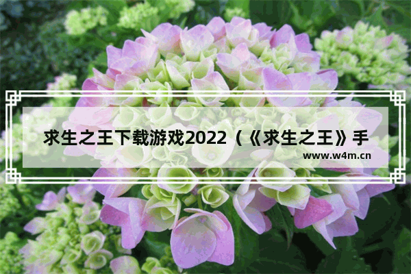 求生之王下载游戏2022（《求生之王》手游评测）