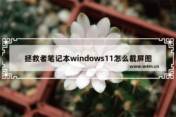 拯救者笔记本windows11怎么截屏图片不显示桌面 拯救者笔记本windows11截屏图片不显示桌面方法