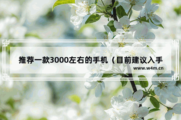 推荐一款3000左右的手机（目前建议入手的4款手机）