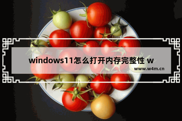 windows11怎么打开内存完整性 windows11如何打开内存完整性