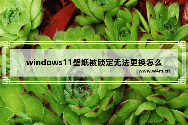 windows11壁纸被锁定无法更换怎么办 windows11壁纸被锁定无法更换解决方法