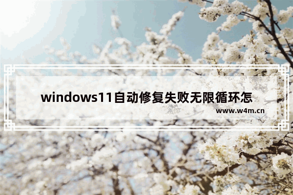 windows11自动修复失败无限循环怎么办 windows11自动修复失败无限循环解决方法