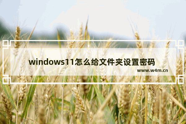 windows11怎么给文件夹设置密码 windows11如何给文件夹设置密码