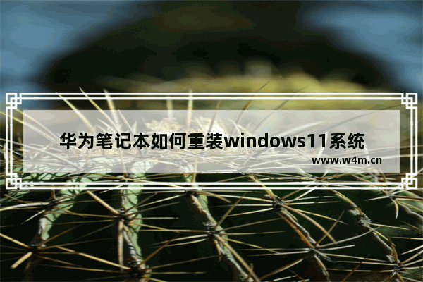 华为笔记本如何重装windows11系统 华为笔记本重装windows11系统教程