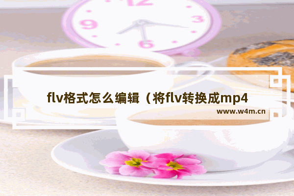 flv格式怎么编辑（将flv转换成mp4最简单方法）