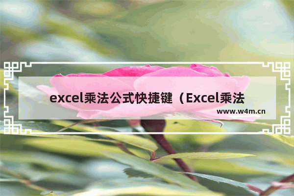 excel乘法公式快捷键（Excel乘法公式怎么用）