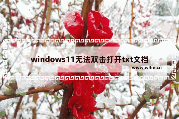 windows11无法双击打开txt文档怎么办 windows11无法双击打开txt文档解决方法