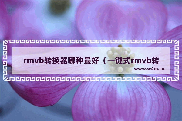 rmvb转换器哪种最好（一键式rmvb转mp4方法）