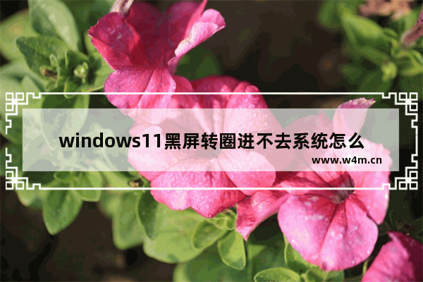 windows11黑屏转圈进不去系统怎么办 windows11黑屏转圈进不去系统的解决方法